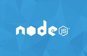 The Complete Node. js Developer Course (2nd Edition)