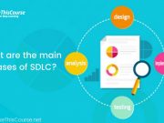 What are the main phases of SDLC for a project management