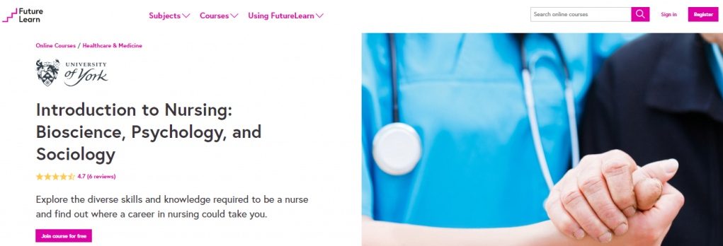 online course nursing