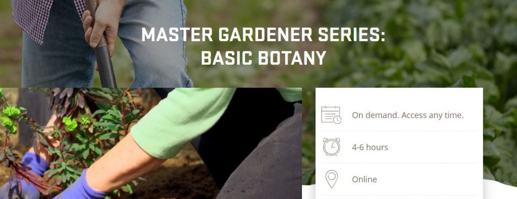Master gardener series