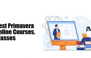 Best Primavera Online Courses, Classes