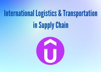 International Logistics & Transportation in Supply Chain