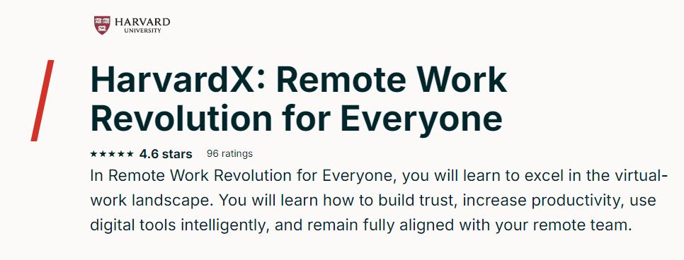 Remote Work Revolution for Everyone