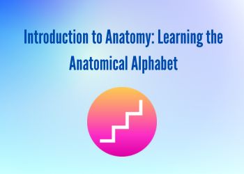Introduction to Anatomy Learning the Anatomical Alphabet