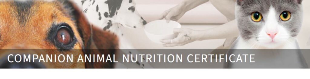 COMPANION ANIMAL NUTRITION CERTIFICATE