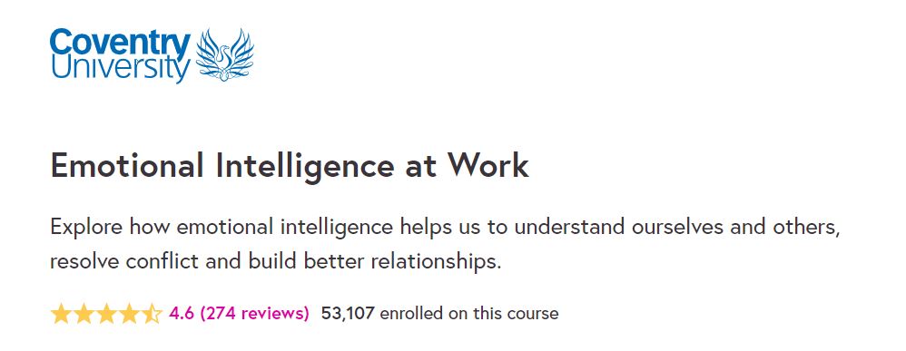 Emotional Intelligence at Work