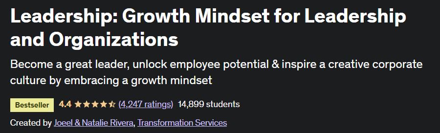 Leadership-Growth Mindset for Leadership and Organizations