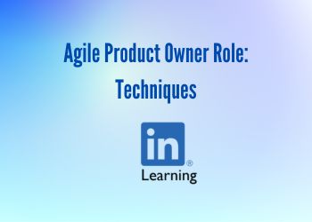 Agile Product Owner Role: Techniques