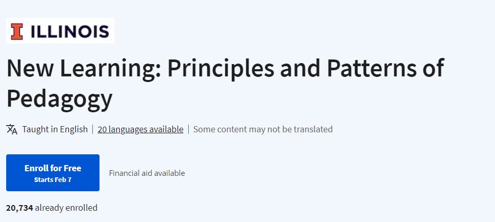 New Learning: Principles and Patterns of Pedagogy